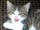 Benutzerbild von Weary_archive