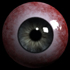 Benutzerbild von untier121_archive