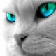 Benutzerbild von -Xploid-_archive