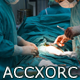 Benutzerbild von ACCXORC_archive